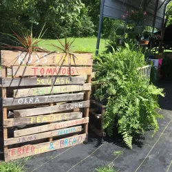 Waverly Farmers Market - Waverly