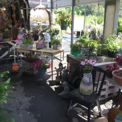 Waverly Farmers Market - Waverly