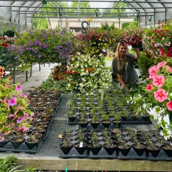 Waverly Farmers Market - Waverly