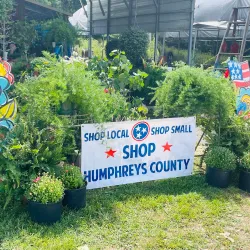 Waverly Farmers Market - Waverly