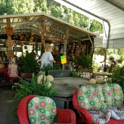 Waverly Farmers Market - Waverly