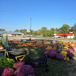 Waverly Farmers Market - Waverly
