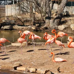 Abilene Zoo - Abilene