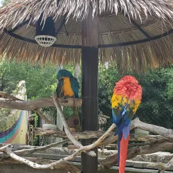 Abilene Zoo - Abilene