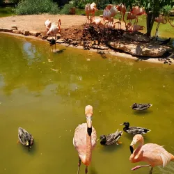 Abilene Zoo - Abilene