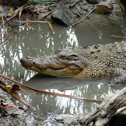 Abilene Zoo - Abilene