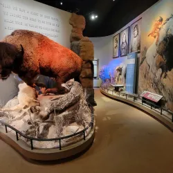 Frontier Texas! - Abilene