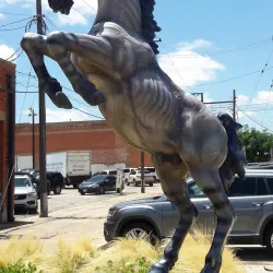 National Center for Children's Illustrated Literature - Abilene