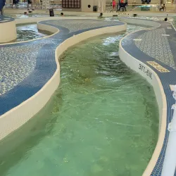 Don Rodenbaugh Natatorium - Allen