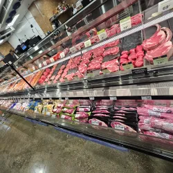 Watters Creek Dog Park - Allen