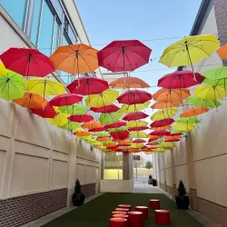 Watters Creek Dog Park - Allen