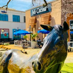 Watters Creek Dog Park - Allen