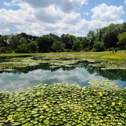 Watters Creek Golf Club - Allen