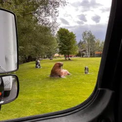 Alpine Art Gallery - Alpine