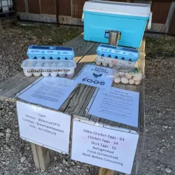 Alpine Farmers Market - Alpine