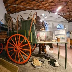 Museum of the Big Bend - Alpine