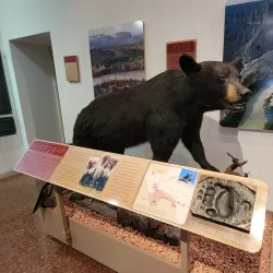 Museum of the Big Bend - Alpine