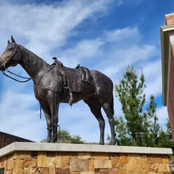 Museum of the Big Bend - Alpine