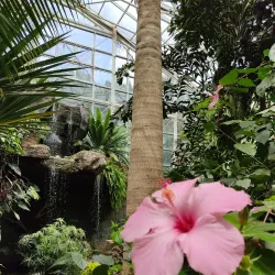 Amarillo Botanical Gardens - Amarillo