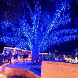 Amarillo Botanical Gardens - Amarillo