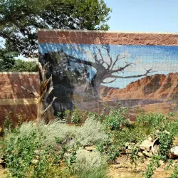 Amarillo Botanical Gardens - Amarillo