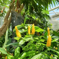 Amarillo Botanical Gardens - Amarillo