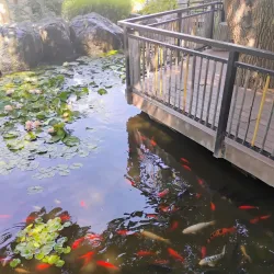 Amarillo Botanical Gardens - Amarillo