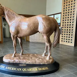 American Quarter Horse Hall of Fame & Museum - Amarillo