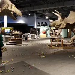 Don Harrington Discovery Center - Amarillo