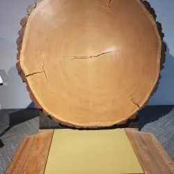 Don Harrington Discovery Center - Amarillo