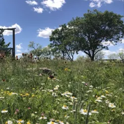Wildcat Bluff Nature Center - Amarillo
