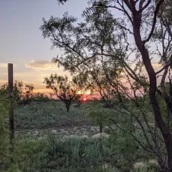 Wildcat Bluff Nature Center - Amarillo