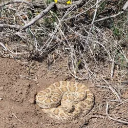 Wildcat Bluff Nature Center - Amarillo