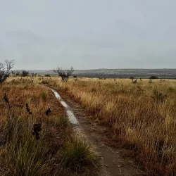 Wildcat Bluff Nature Center - Amarillo