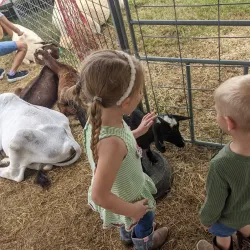 Brazoria County Fairgrounds - Angleton