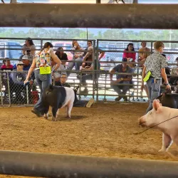 Brazoria County Fairgrounds - Angleton