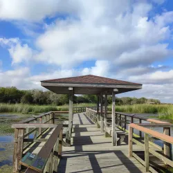 Brazoria National Wildlife Refuge - Angleton