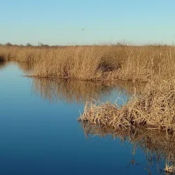 Brazoria National Wildlife Refuge - Angleton