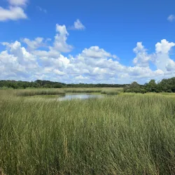 Brazoria National Wildlife Refuge - Angleton