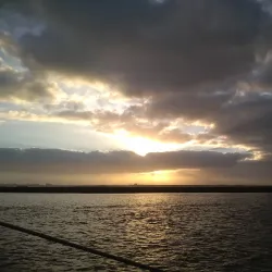 Brazoria National Wildlife Refuge - Angleton