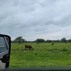 Downtown Angleton - Angleton