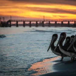 Quintana Beach County Park - Angleton