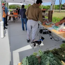 Anna Farmers Market - Anna