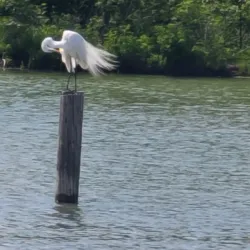 Lakeside Park - Anna