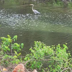 Lakeside Park - Anna