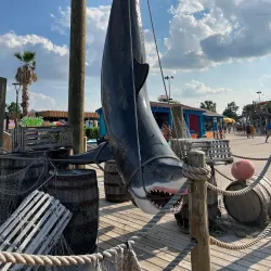Hurricane Harbor Arlington - Arlington