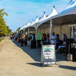 Levitt Pavilion Arlington - Arlington