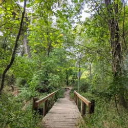 River Legacy Parks - Arlington