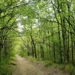 River Legacy Parks - Arlington