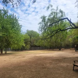 Tails and Trails Dog Park - Arlington